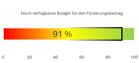 Verfügbares Budget für den Förderungsbeitrag; Balkendiagramm. Es sind noch 91% verfügbar.