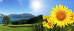 Nah- und Fernwärmenetze © leisuretime, Fotolia Nah- und Fernwärmenetze © leisuretime, Fotolia