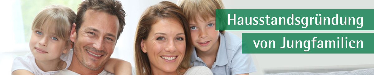 Hausstandsgrundung Von Jungfamilien Wohnbau Land Steiermark